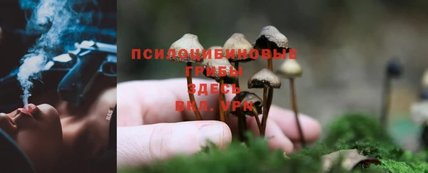 бутик Горно-Алтайск