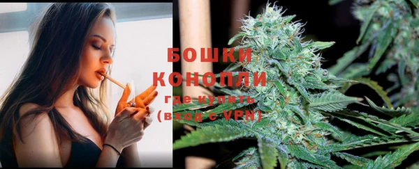 хмурый Вяземский