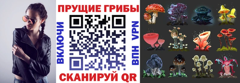 Псилоцибиновые грибы мицелий  блэк спрут маркетплейс  Заинск 